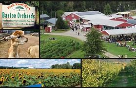 Image result for Barton Orchards Peach Picking