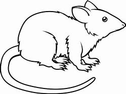 Image result for Outline Rat Trap