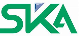 Image result for Ska Logo