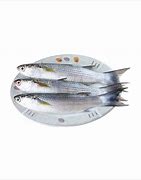 Image result for Trosan Fish