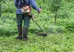 Image result for 1Mt Grass Trimming