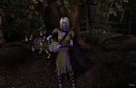 Image result for Dark Elf Bard