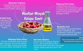 Image result for Kandungan KELAPA SAWIT