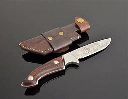 Image result for Fixed Blade with MOLLE Sheath