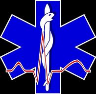 Image result for Paramedic Symbol