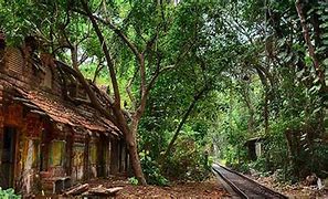 Image result for Old Railway Station Now a Libraryxabd Cafe