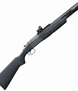 Image result for Stoeger Pump Shotgun