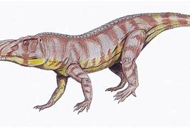 Image result for The Triassic Period Dimorphodon