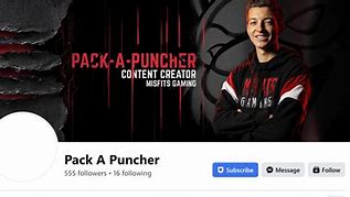 Image result for Pack a Puncher