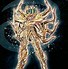 Image result for Saint Seiya Spectres Robe