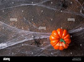 Image result for Halloween Spider Web Background