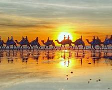 Image result for Broome Sunset Camel Ride