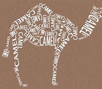 Image result for Typography Art Samples