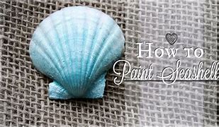 Image result for Painting Sea Shells Kit