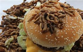 Image result for Maggots in Old Food