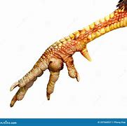 Image result for Chicken Claw