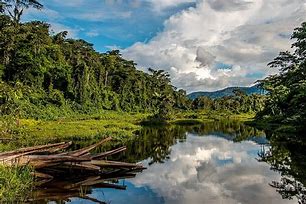 Image result for Peru People Selva