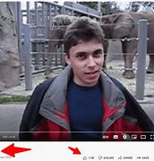 Image result for Jawed Karim Now