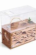 Image result for Ant Enclosure