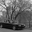 Image result for BMW Old Car Modified