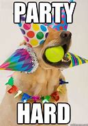 Image result for Puppy Birthday Meme