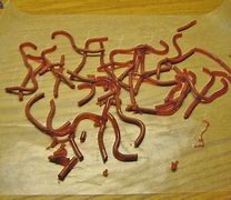 Image result for Bowl of Worms