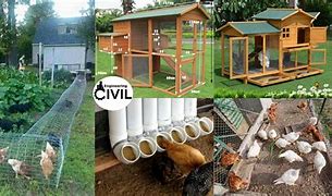 Image result for Chicken Co-op Roof Ideas