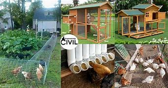 Image result for Chicken Pen Ideas