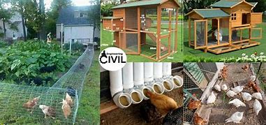 Image result for DIY Chicken Shelter