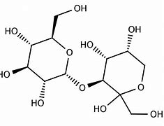 Image result for Turanose Chair Structure