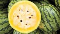 Image result for Yellow Doll Watermelon