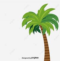 Image result for Pokok Cartoon