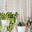 Image result for Beginner Macrame