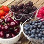 Image result for Fruit Vinegar Seahouses