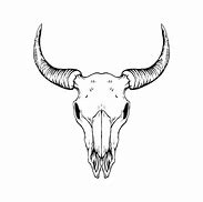 Image result for Buck Skull