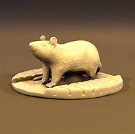 Image result for 3D Rat Printable