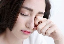 Image result for Cá Lóc Mắt Đỏ