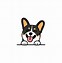 Image result for Animated Corgi