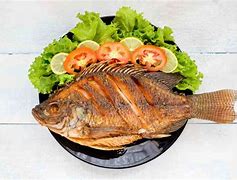 Image result for Gambar Ikan Keci