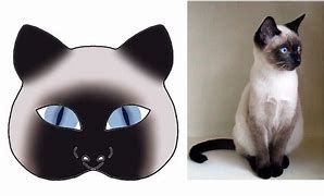 Image result for Black and White Cat Mask