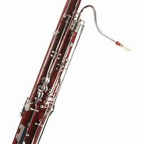 Image result for Bassoon