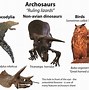 Image result for Reptile Phylogenetic Tree