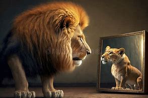 Image result for Cat Mirror Sees Lion