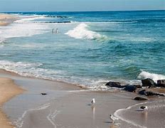 Image result for New Jersey Beach Guide