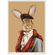 Image result for French Rabbit