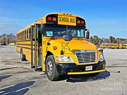 Image result for Blue Bird Vision School Bus Green