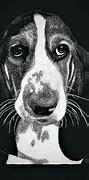 Image result for Scratchboard Art Techniques