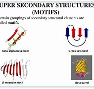 Image result for Protein Motif