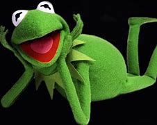 Image result for Kermit the Frog Eyes