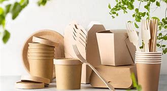 Image result for Eco-Friendly Packaging